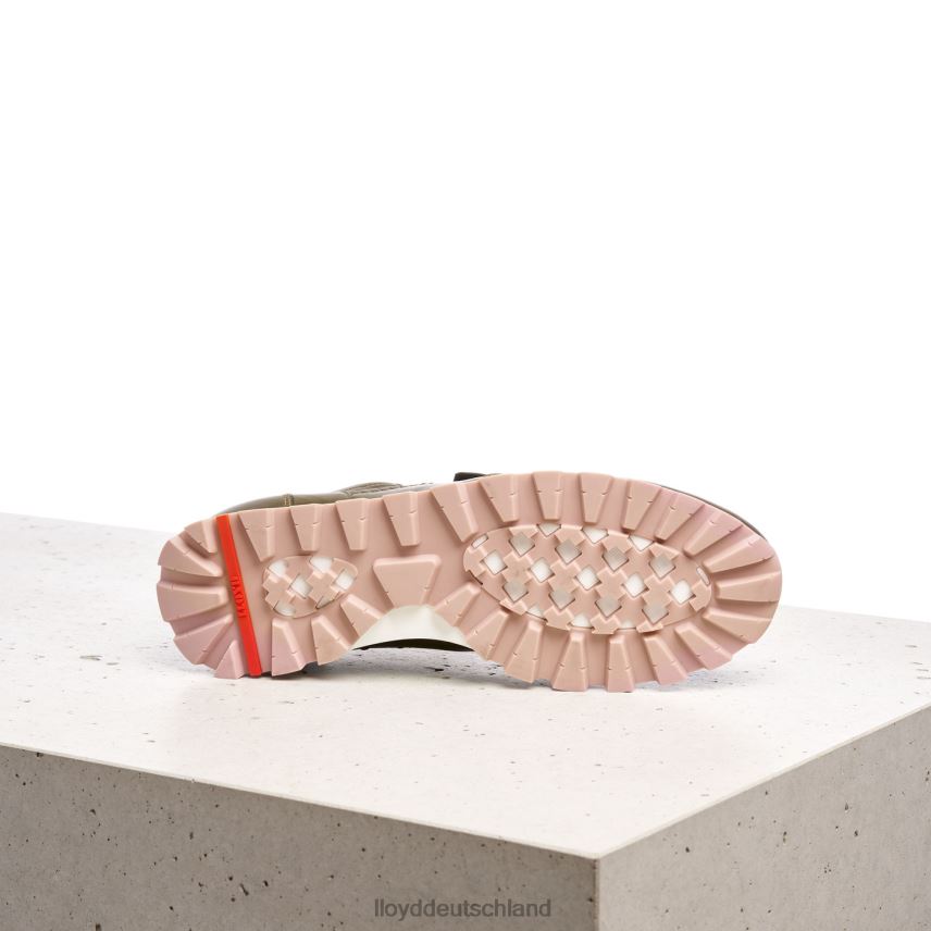 Schuhe LLOYD Low-Top-Sneaker aus Leder Grün Frauen PV6Z0801