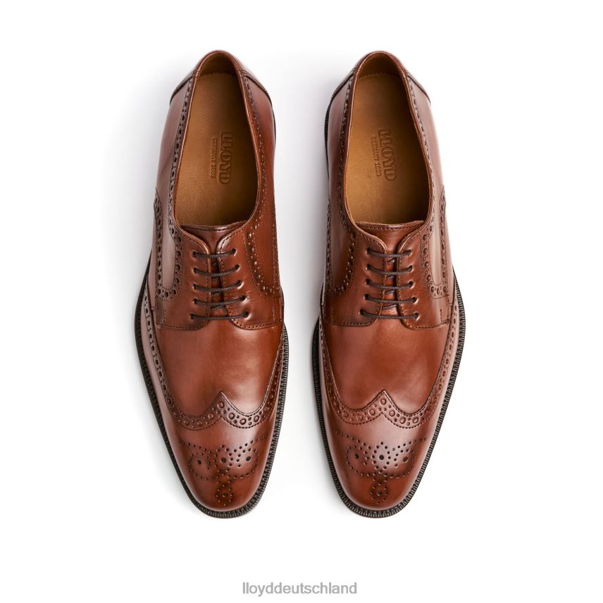 Schuhe LLOYD Lucien braun Männer PV6Z0574