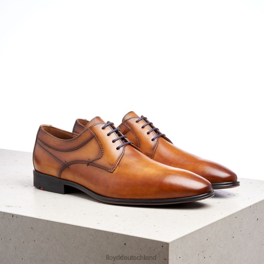 Schuhe LLOYD Madison braun Männer PV6Z0192
