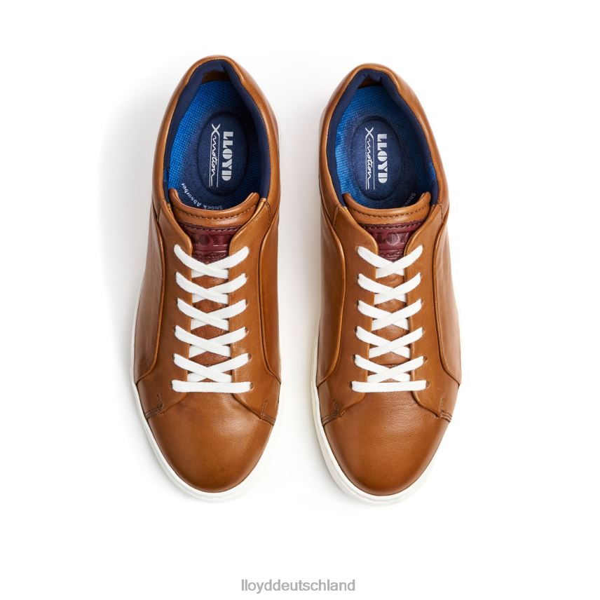 Schuhe LLOYD Majuro braun Männer PV6Z0258