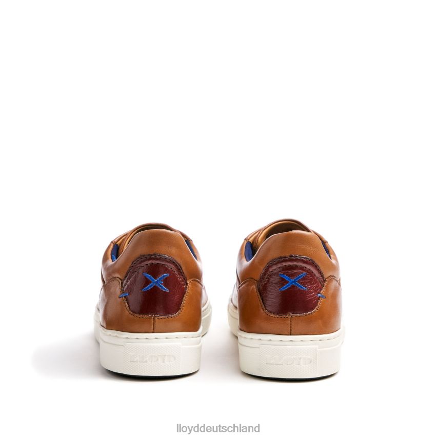 Schuhe LLOYD Majuro braun Männer PV6Z0258