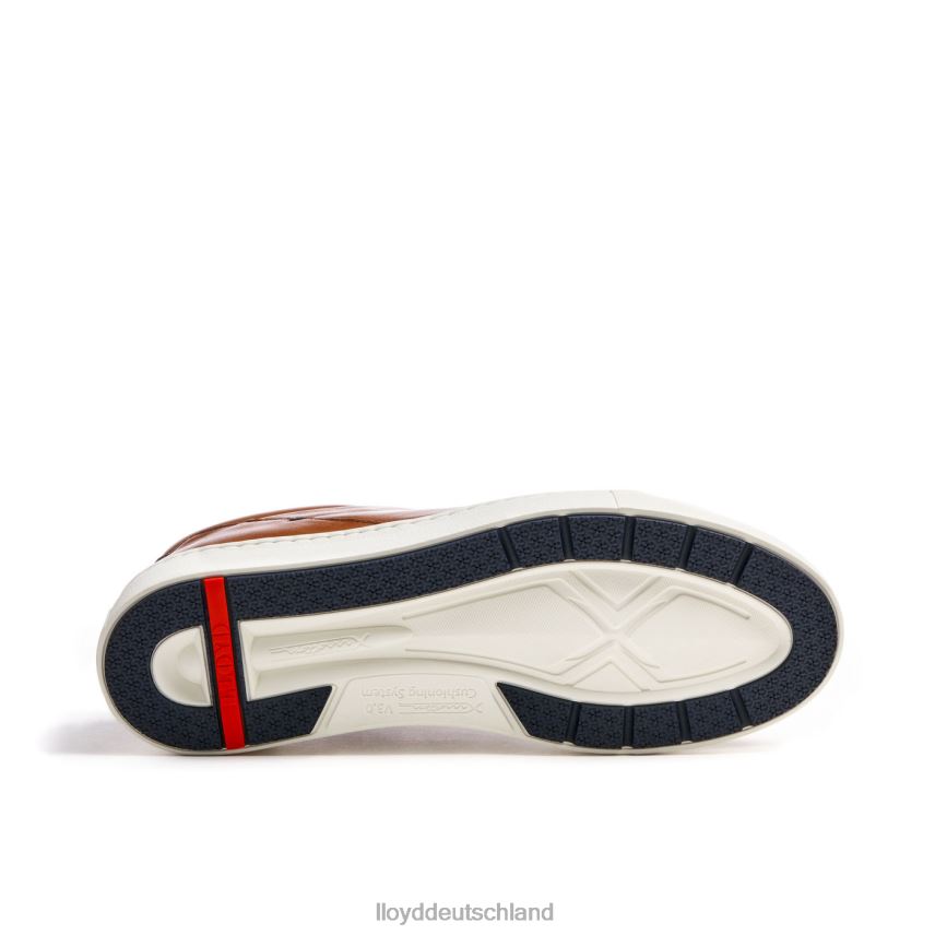 Schuhe LLOYD Majuro braun Männer PV6Z0258