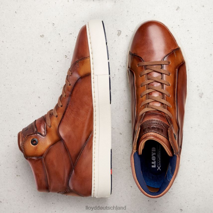 Schuhe LLOYD Marschall braun Männer PV6Z0254