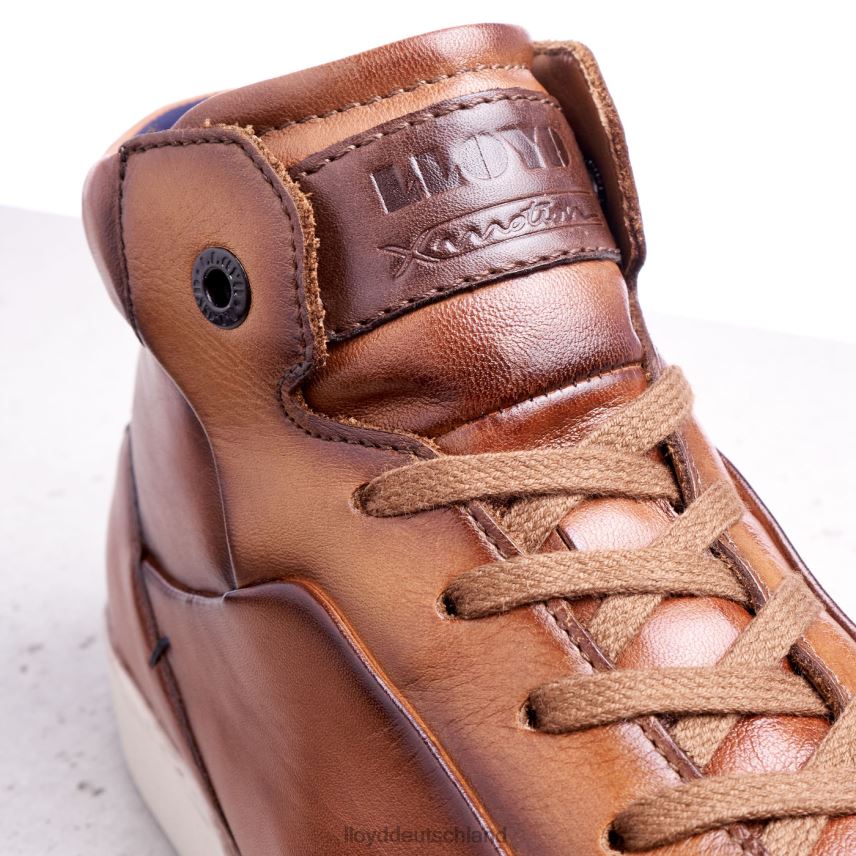 Schuhe LLOYD Marschall braun Männer PV6Z0254