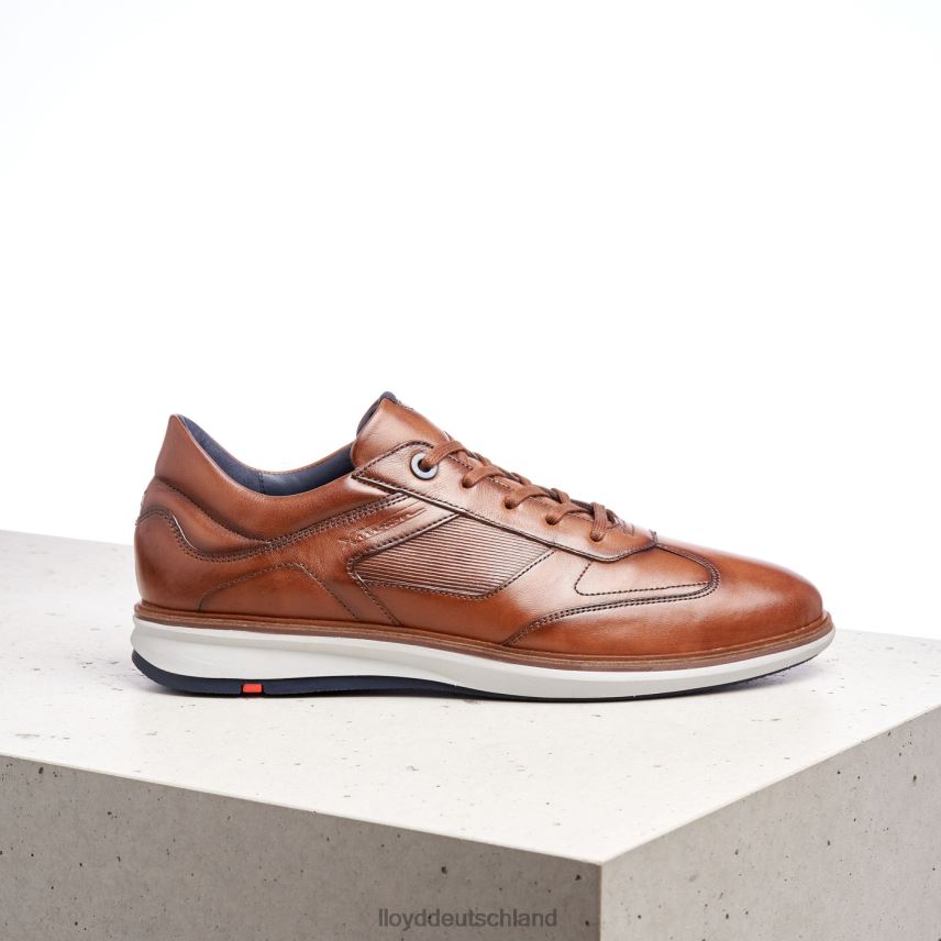Schuhe LLOYD Matten braun Männer PV6Z0261