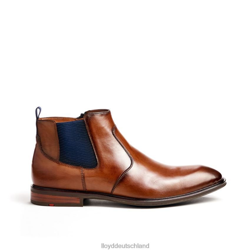 Schuhe LLOYD Matteo braun Männer PV6Z012