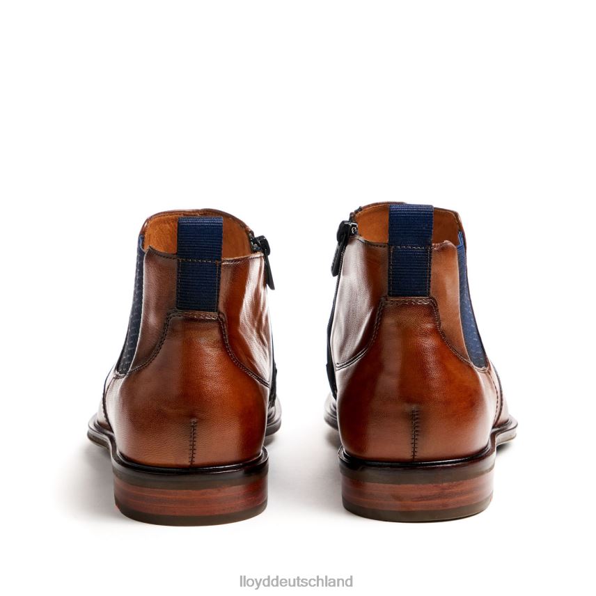 Schuhe LLOYD Matteo braun Männer PV6Z012