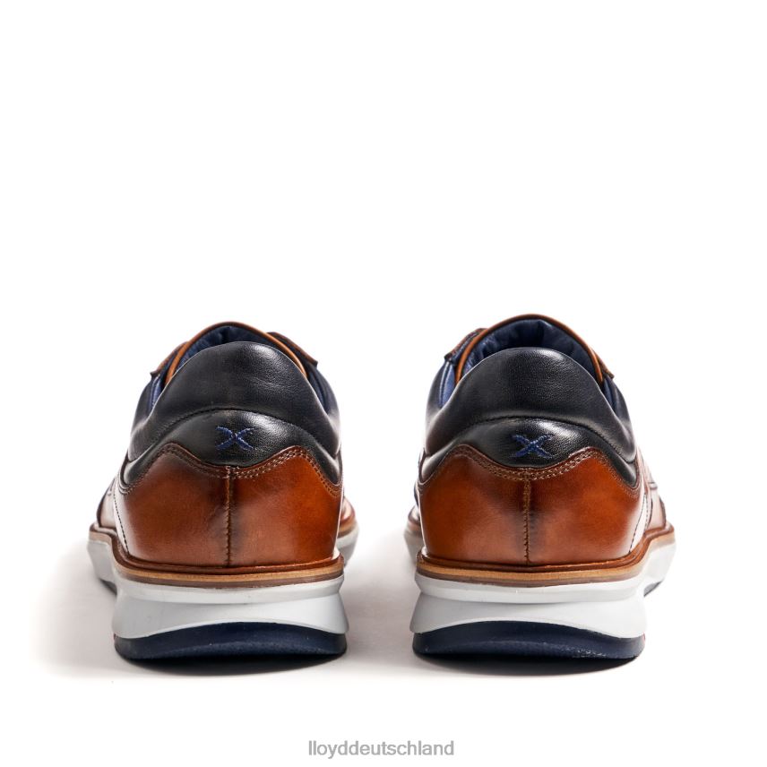 Schuhe LLOYD Maxime braun Männer PV6Z0250