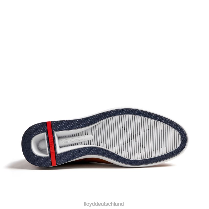 Schuhe LLOYD Maxime braun Männer PV6Z0250