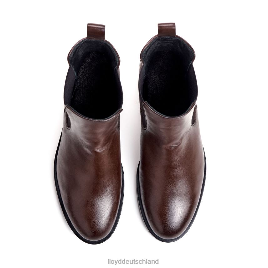 Schuhe LLOYD Modische Stiefeletten aus Glattleder braun Frauen PV6Z0897