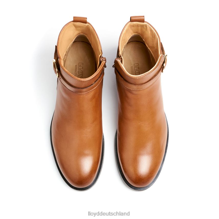 Schuhe LLOYD Modische Stiefeletten aus Glattleder braun Frauen PV6Z0900