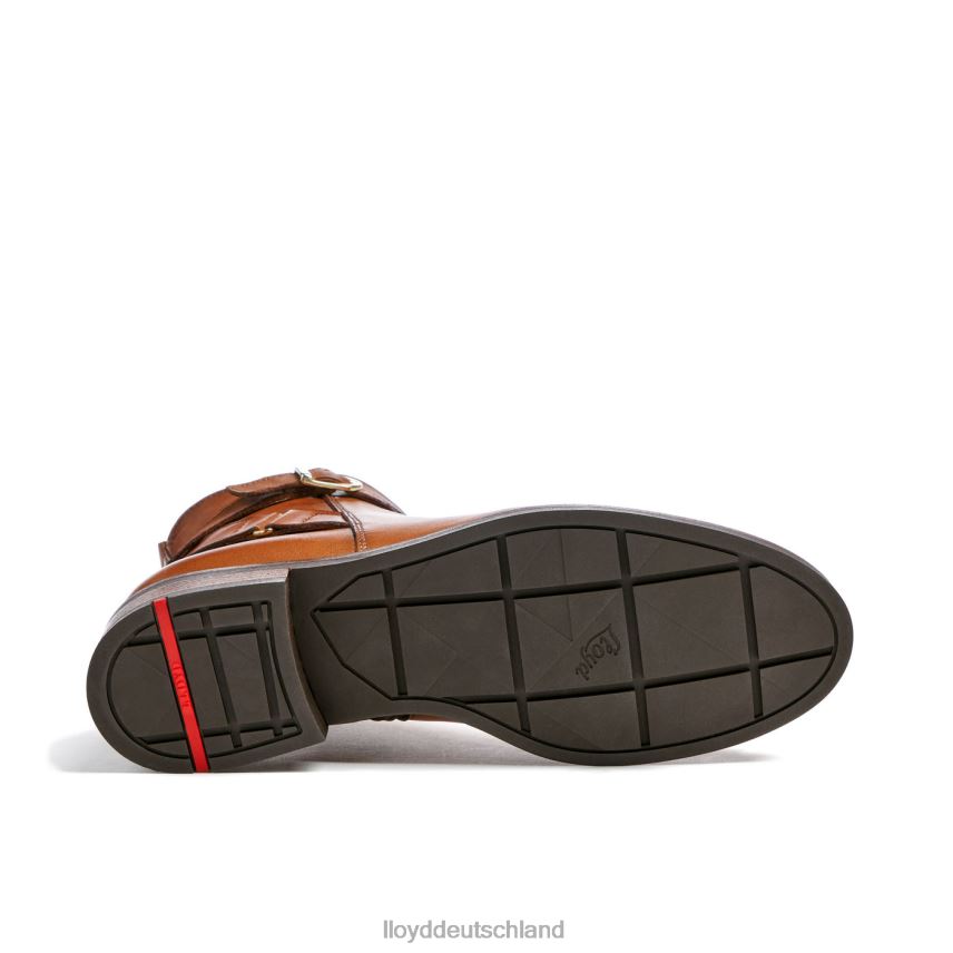 Schuhe LLOYD Modische Stiefeletten aus Glattleder braun Frauen PV6Z0900