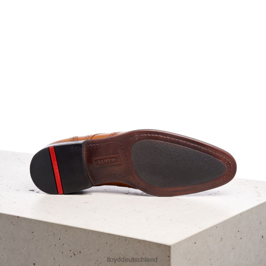 Schuhe LLOYD Morton braun Männer PV6Z01321