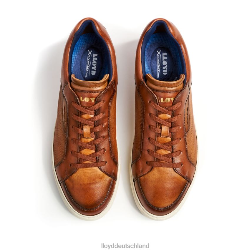 Schuhe LLOYD Málaga braun Männer PV6Z01327