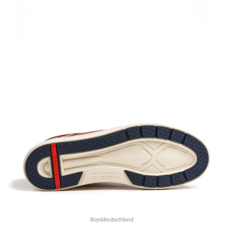 Schuhe LLOYD Málaga braun Männer PV6Z01327