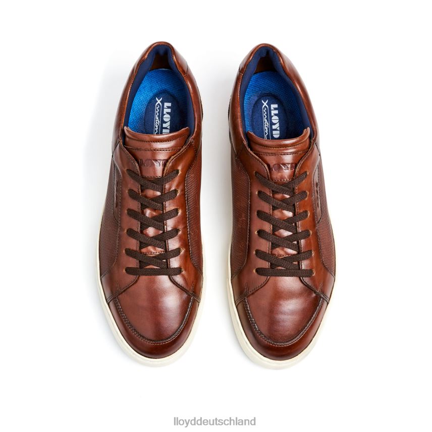Schuhe LLOYD Málaga braun Männer PV6Z0249