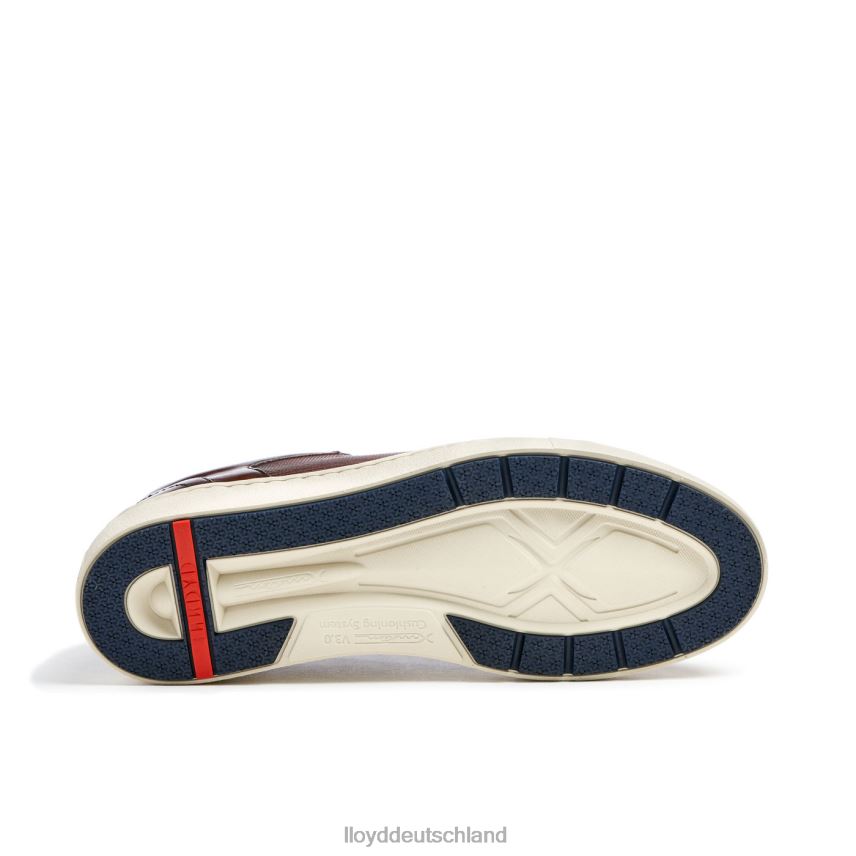 Schuhe LLOYD Málaga braun Männer PV6Z0249