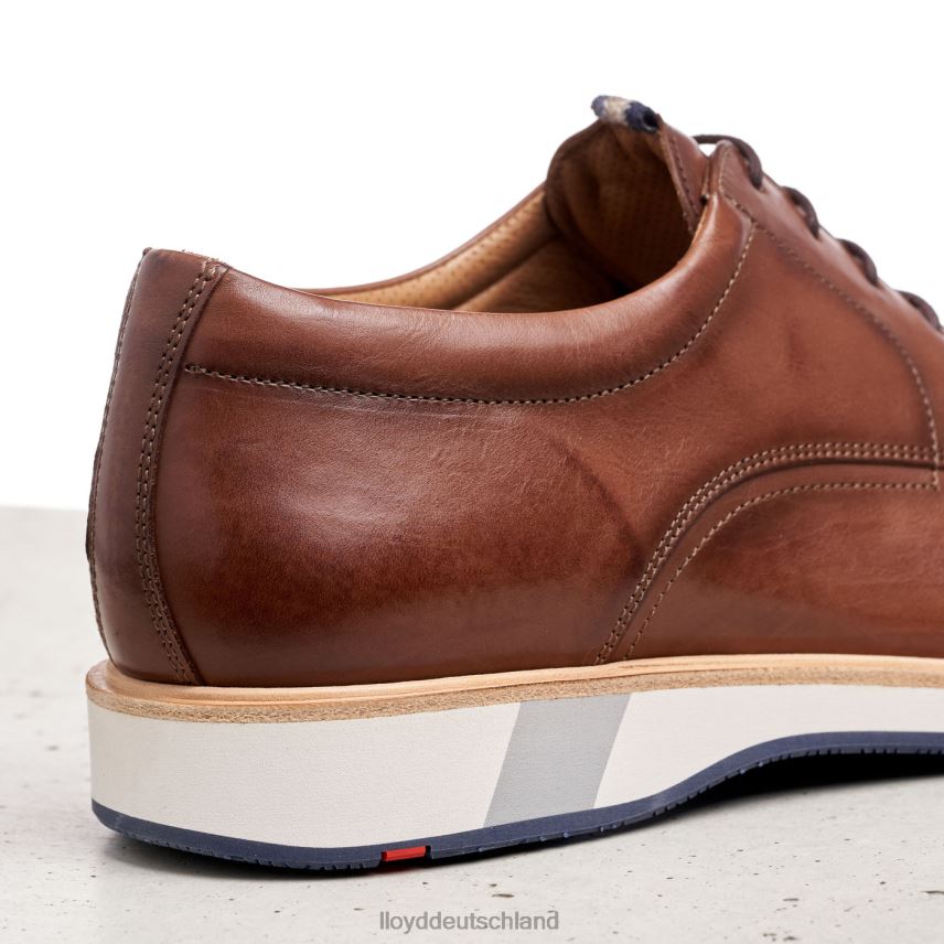 Schuhe LLOYD Neptun braun Männer PV6Z0218