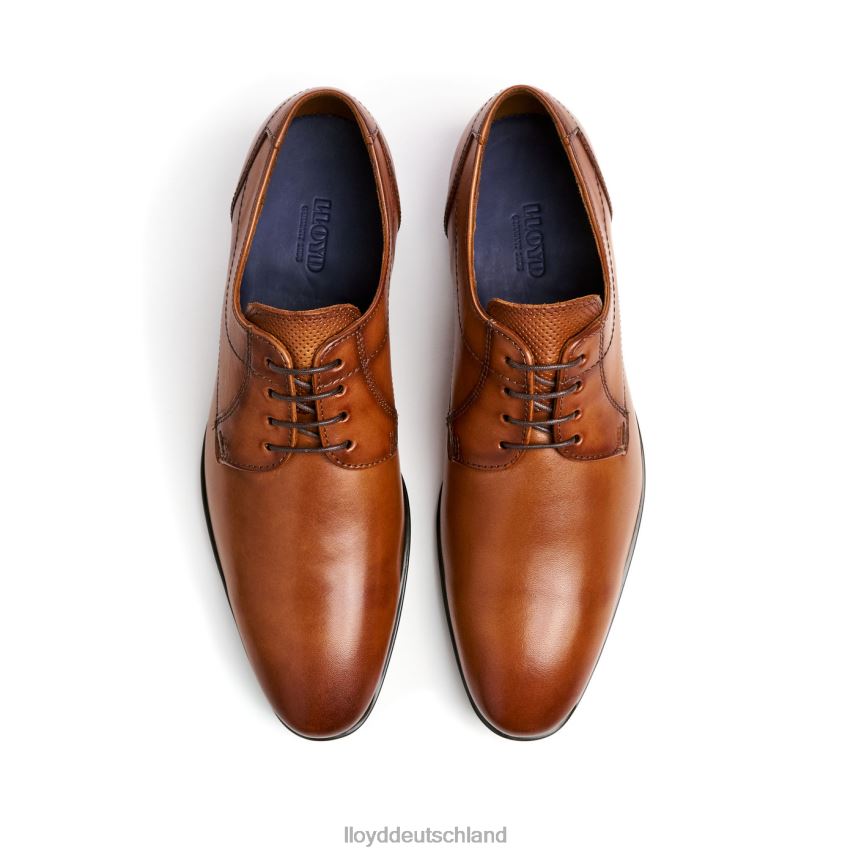 Schuhe LLOYD Osmond braun Männer PV6Z084