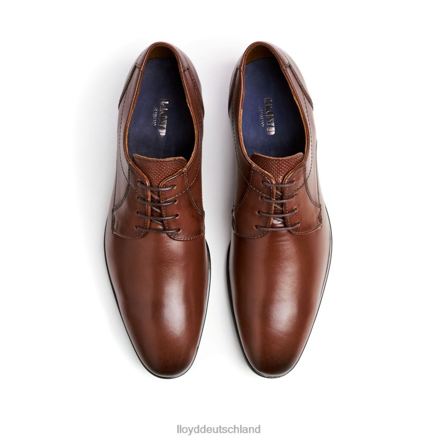 Schuhe LLOYD Osmond braun Männer PV6Z085