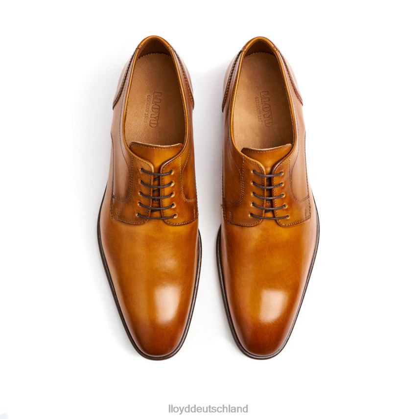 Schuhe LLOYD Pados braun Männer PV6Z0152