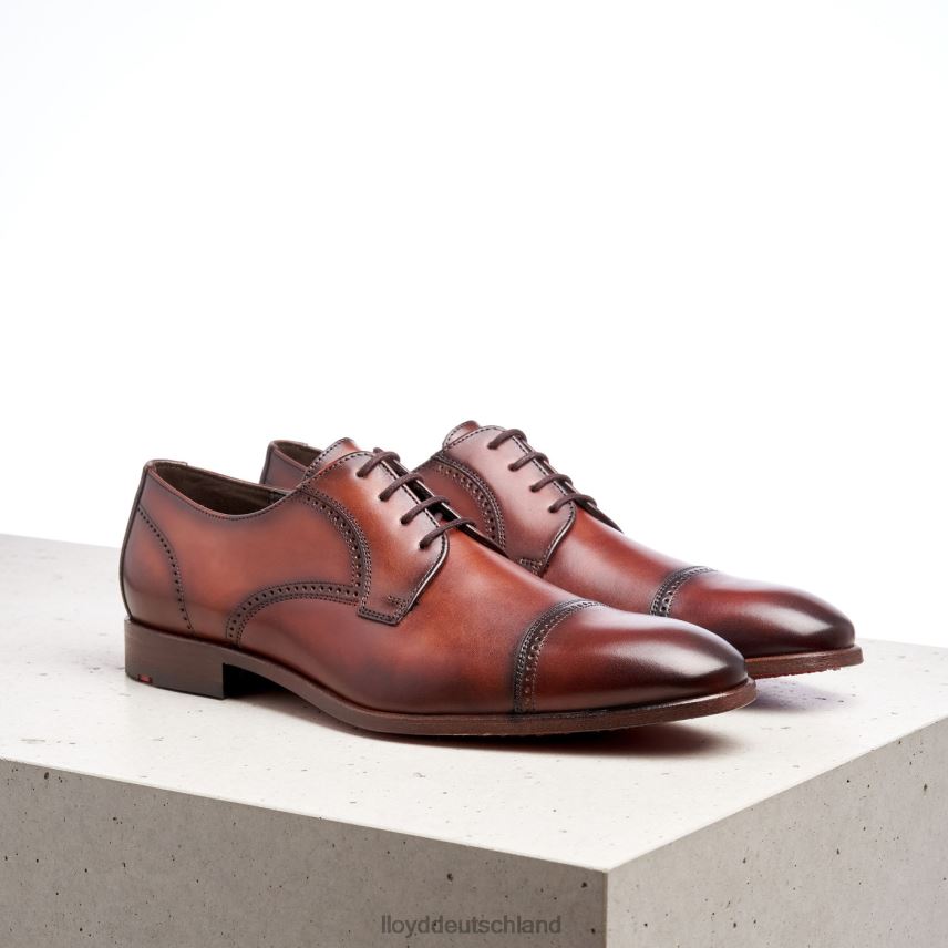 Schuhe LLOYD Perry braun Männer PV6Z0177