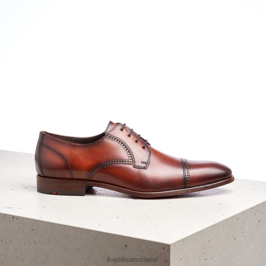 Schuhe LLOYD Perry braun Männer PV6Z0177