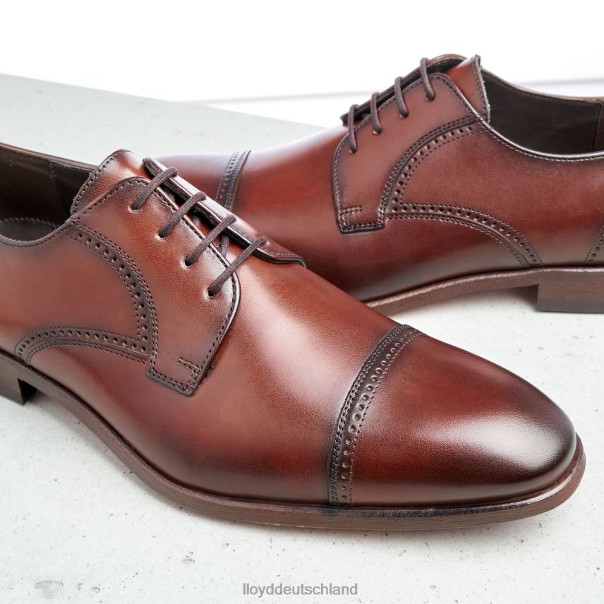 Schuhe LLOYD Perry braun Männer PV6Z0177