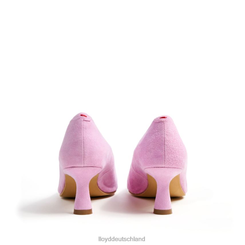 Schuhe LLOYD Pumps Rosa Frauen PV6Z01053