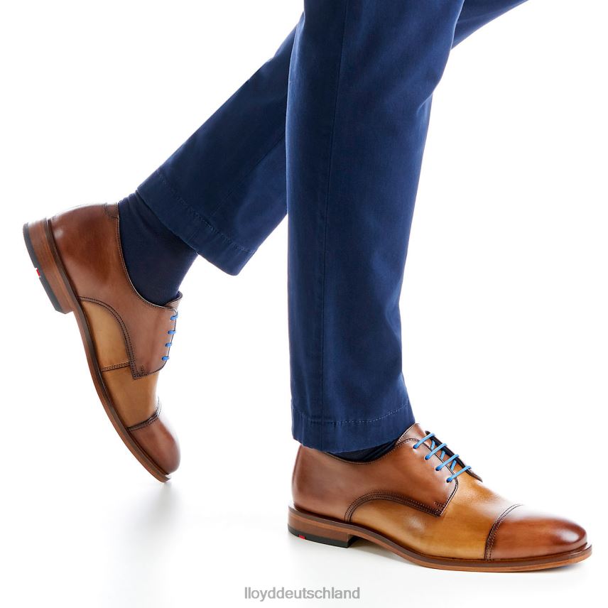 Schuhe LLOYD Rick braun Männer PV6Z0216