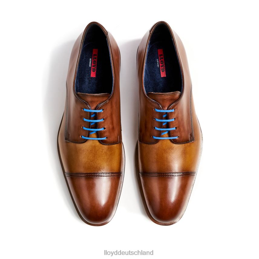Schuhe LLOYD Rick braun Männer PV6Z0216