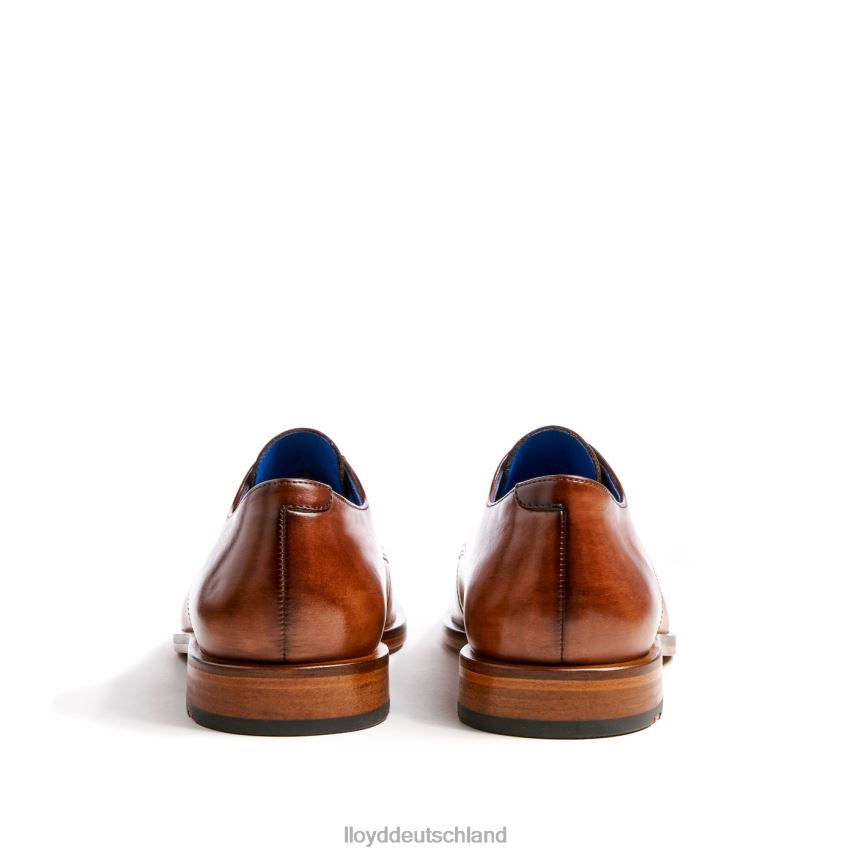 Schuhe LLOYD Rick braun Männer PV6Z0216