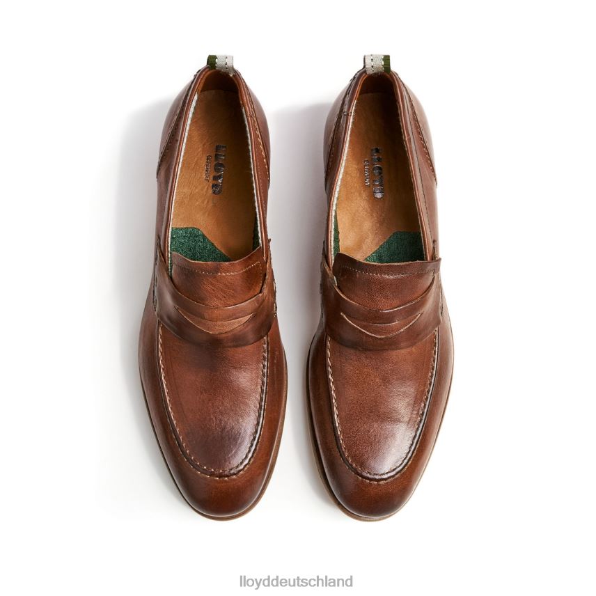 Schuhe LLOYD Ripan braun Männer PV6Z01348