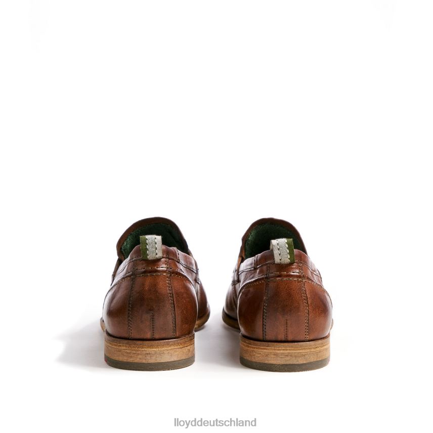 Schuhe LLOYD Ripan braun Männer PV6Z01348