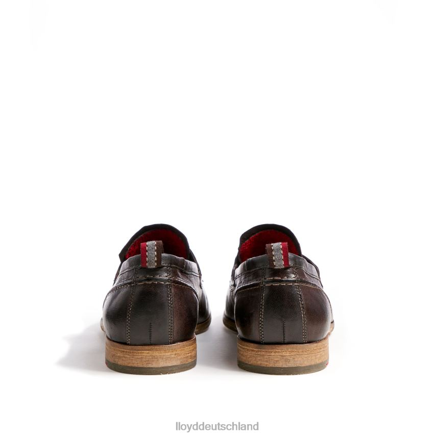 Schuhe LLOYD Ripan braun Männer PV6Z0612