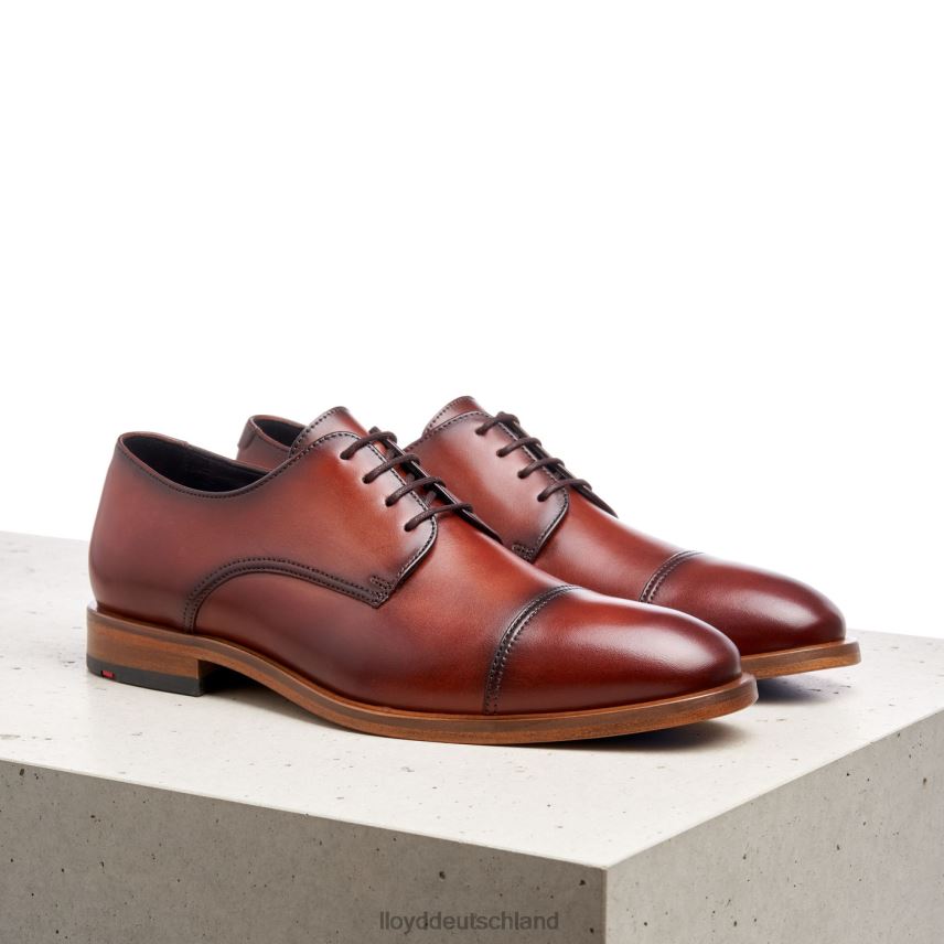 Schuhe LLOYD Rodney braun Männer PV6Z0195