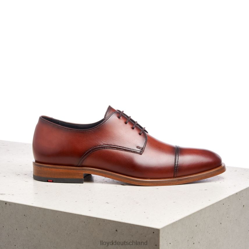 Schuhe LLOYD Rodney braun Männer PV6Z0195