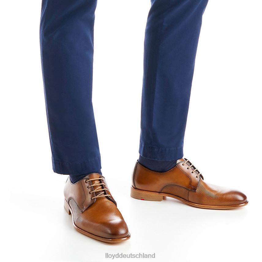 Schuhe LLOYD Saigon braun Männer PV6Z0158