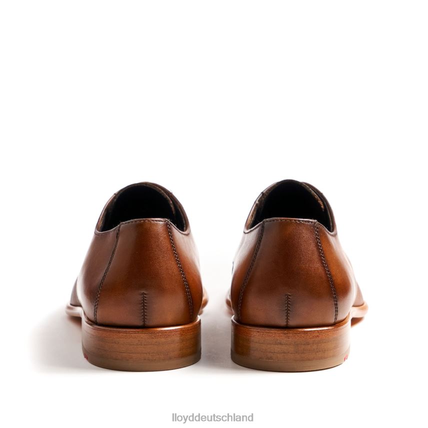 Schuhe LLOYD Saigon braun Männer PV6Z0158