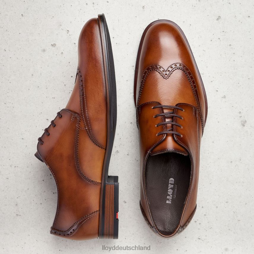 Schuhe LLOYD Samson braun Männer PV6Z0235