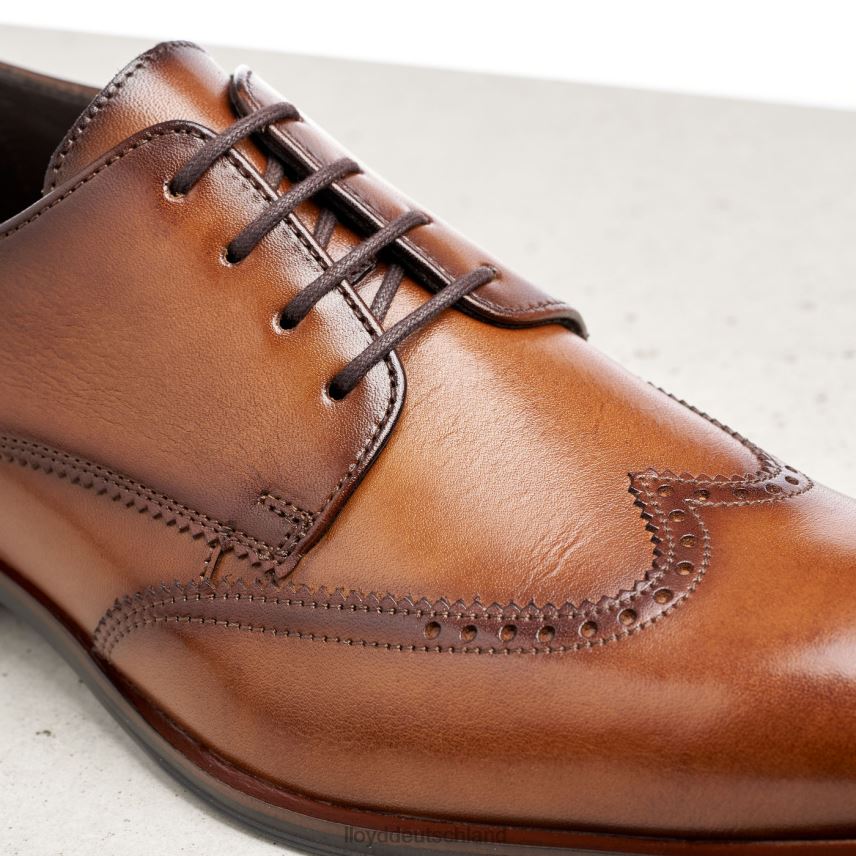 Schuhe LLOYD Samson braun Männer PV6Z0235