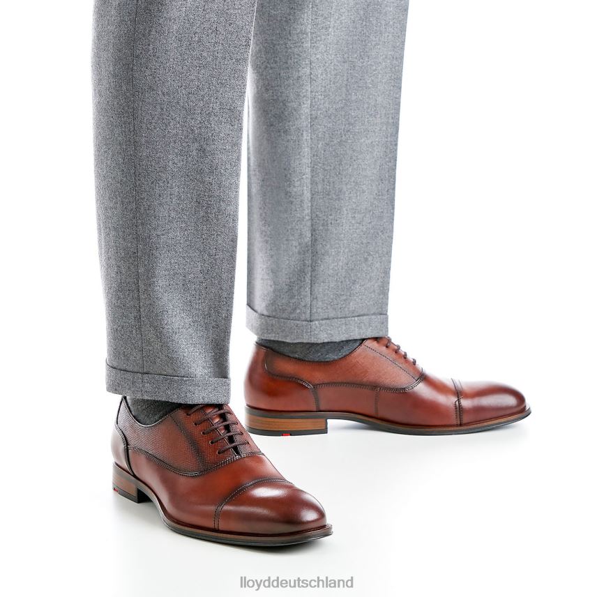 Schuhe LLOYD Santiago braun Männer PV6Z0238