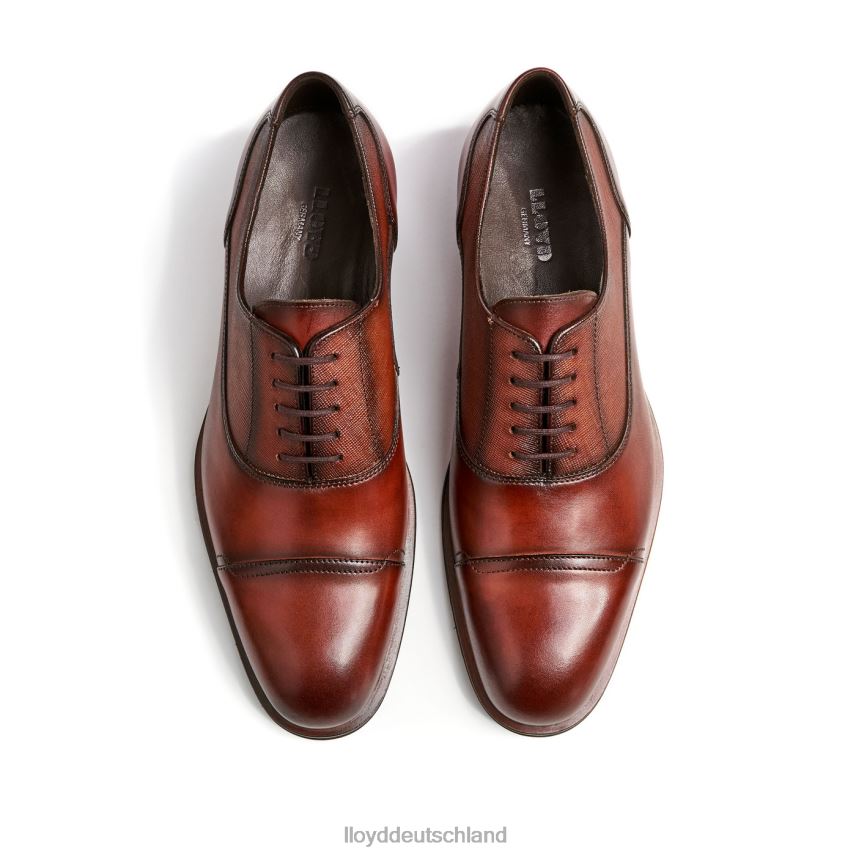 Schuhe LLOYD Santiago braun Männer PV6Z0238