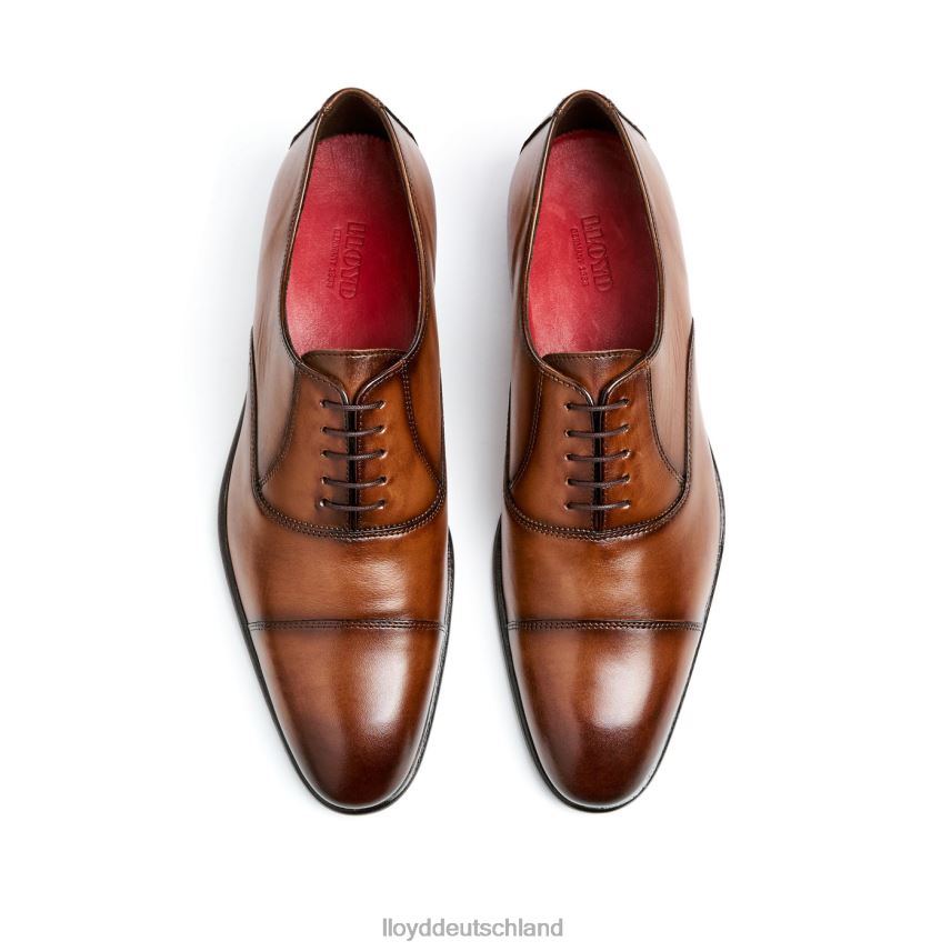 Schuhe LLOYD Schwimmbad braun Männer PV6Z01