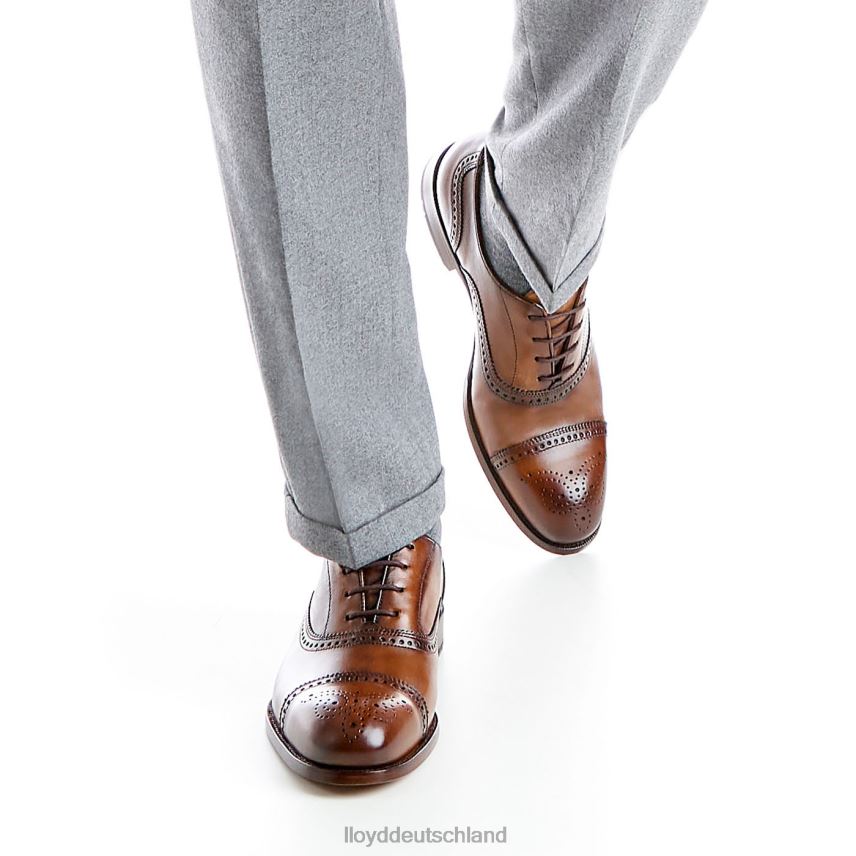 Schuhe LLOYD Sheffield braun Männer PV6Z0219