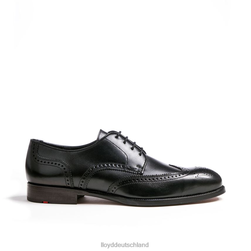 Schuhe LLOYD Sheridan Schwarz Männer PV6Z079