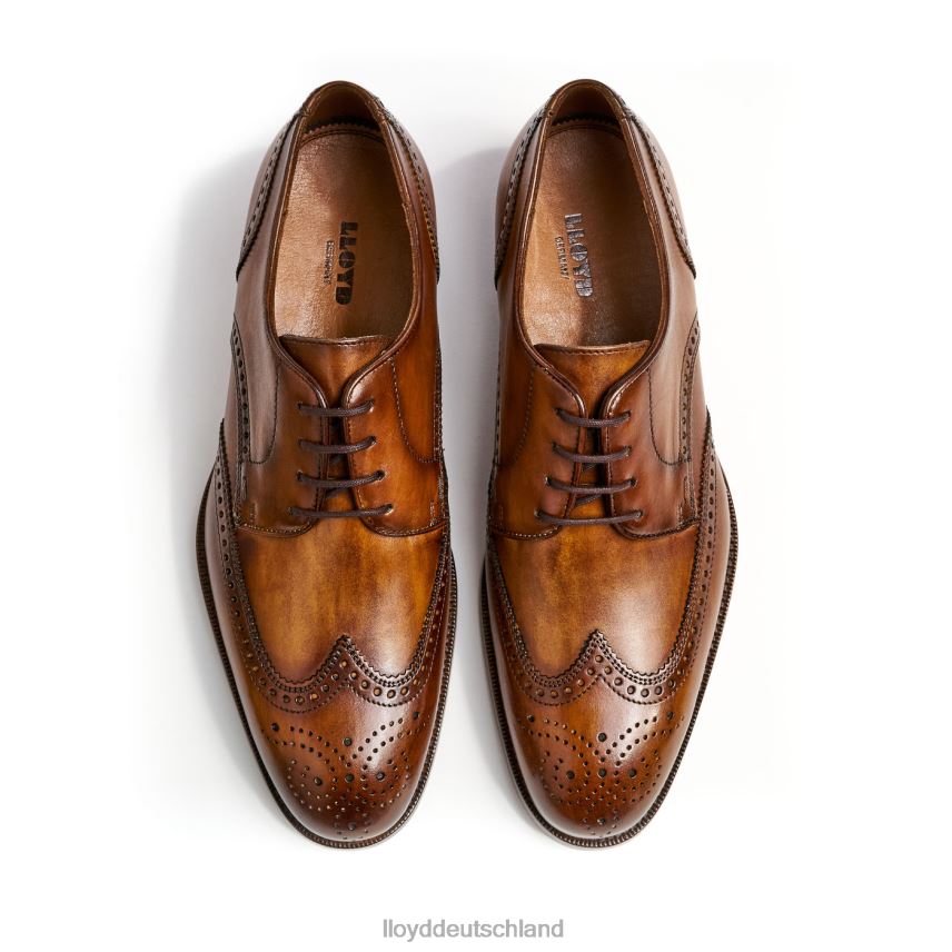 Schuhe LLOYD Sheridan braun Männer PV6Z0205