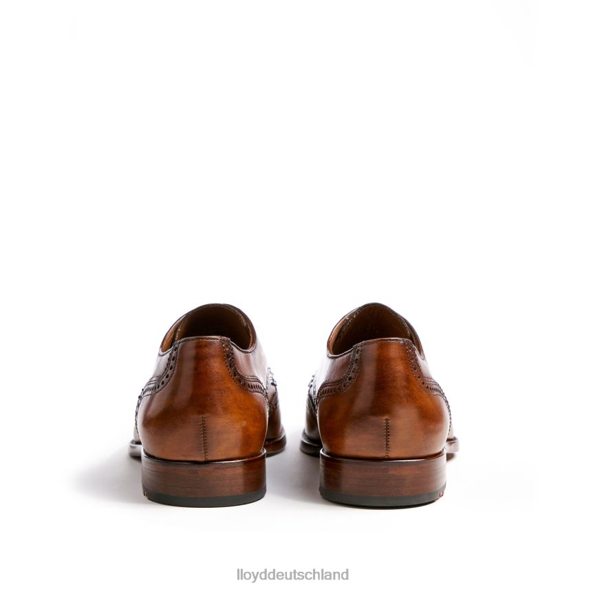 Schuhe LLOYD Sheridan braun Männer PV6Z0205