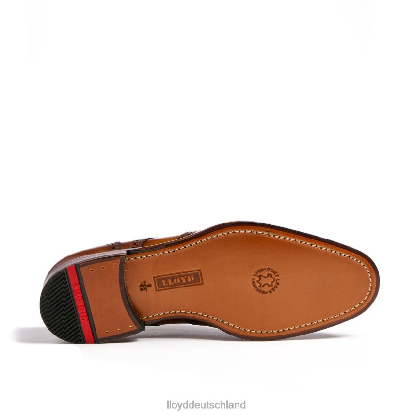 Schuhe LLOYD Sheridan braun Männer PV6Z0205
