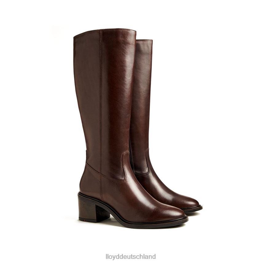 Schuhe LLOYD Stiefel braun Frauen PV6Z01191